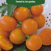 Tomat "Orange", Cherrytomat , Solanum L